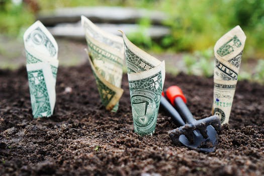growmoney